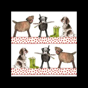 Alex Clark Art Ltd Kitchen And Dining | Tableware*Alex Clark Coaster - Country Dogs