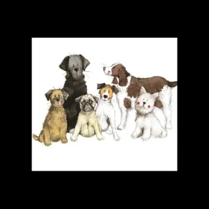 Alex Clark Art Ltd Kitchen And Dining | Tableware*Alex Clark Coaster - Dogs Together