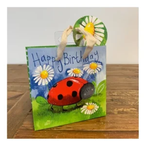 Alex Clark Art Ltd Other*Alex Clark Little Ladybird Small Gift Bag