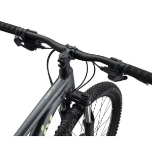 Women GIANT Womens*Liv Tempt 4 Black Chrome 2022- Small