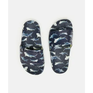 Joules Ltd Sandals*Joules Kids Navy Shark Slidders
