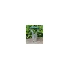 Greenkey Hand Tools*Metal Bulb Planter