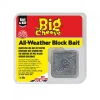The Big Cheese Mouse And Rat Traps | Pest Control*All Weather Block Bait Mouse Station