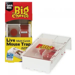 The Big Cheese Mouse And Rat Traps | Pest Control*Live Multi Catch Mouse Trap