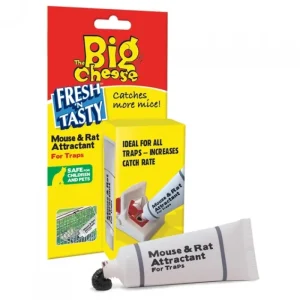 The Big Cheese Mouse And Rat Traps | Rodent Poison*Mouse + Rat Attractant