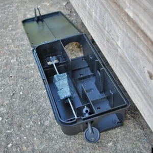 STV Mouse And Rat Traps | Pest Control*The Big Cheese Rat & Mouse Bait Station