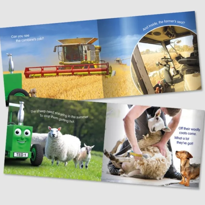 tractor_ted_a_summers_day_0.webp Tractor Ted Books & Dvd`S*A Summer's Day Book