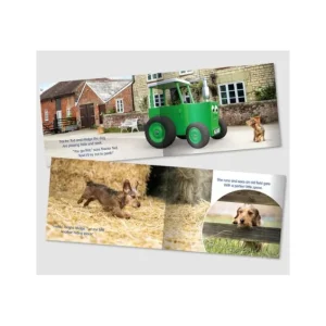 Tractor Ted Books & Dvd`S*Book Hide + Seek