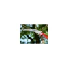 E P BARRUS LTD Hand Tools*Wolf Garten Multi-Change® Professional Pruning Saw