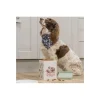 WRENDALEF/C Accessories | Other*Wrendale Dog Treat Tin