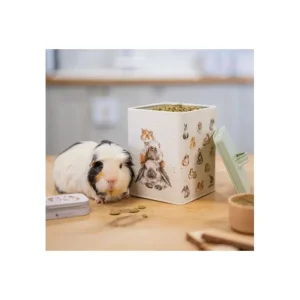 WRENDALEF/C Accessories | Other*Wrendale Guinea Pig / Rabbit Treat Tin