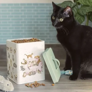 WRENDALEF/C Accessories | Other*Wrendales Cat Treat Tin
